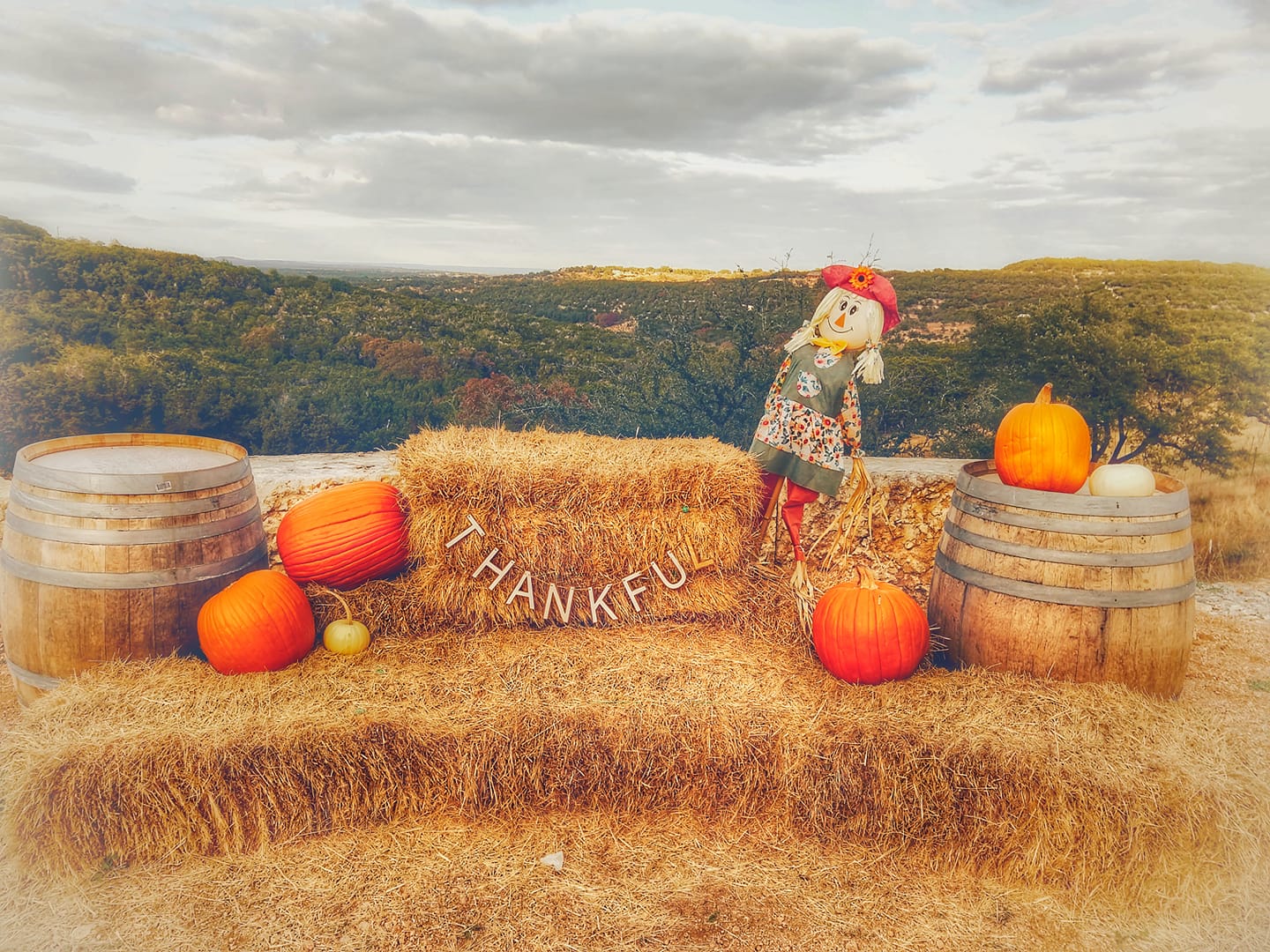 Spooky Season is Upon Us! Five Things Austinites Do to (Pumpkin) Spice Up Their October!